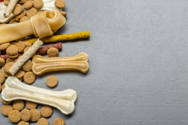 Na szarym tle leżą różne przysmaki dla psa.