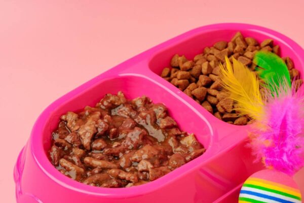 Różowa miska z podziałką, zawiera karmę suchą i mokrą dla psa.