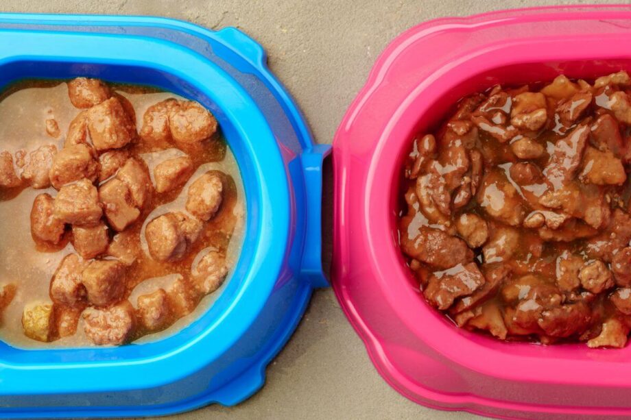 Na obrazku widać dwie miski z mokrą karmą dla psa.