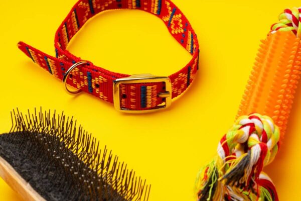 Czerwony obroża, szczotka i zabawka to akcesoria dla psa na żółtym tle.