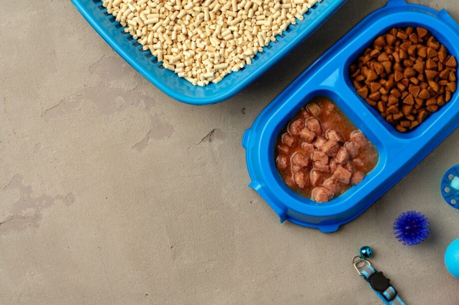Dwukomorowa miska dla psa, w której znajduje się karma mokra dla psa i sucha.