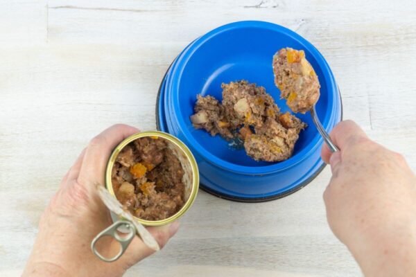 Osoba wkłada mokrą karmę dla psa do niebieskiej miski.