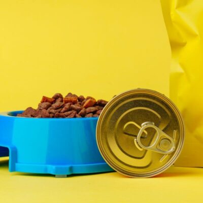 Niebieska miska z suchą karmą i puszką, a obok mokra karma dla psów.