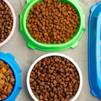 Kilka misek wypełnionych różnymi rodzajami karma dla psa.