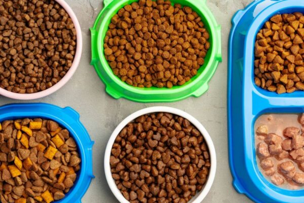 Kilka misek wypełnionych różnymi rodzajami karma dla psa.