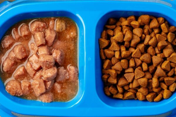 Podwójna miska z suchą karmą i kawałkami, gdzie lewej stronie jest karma mokra dla psa.