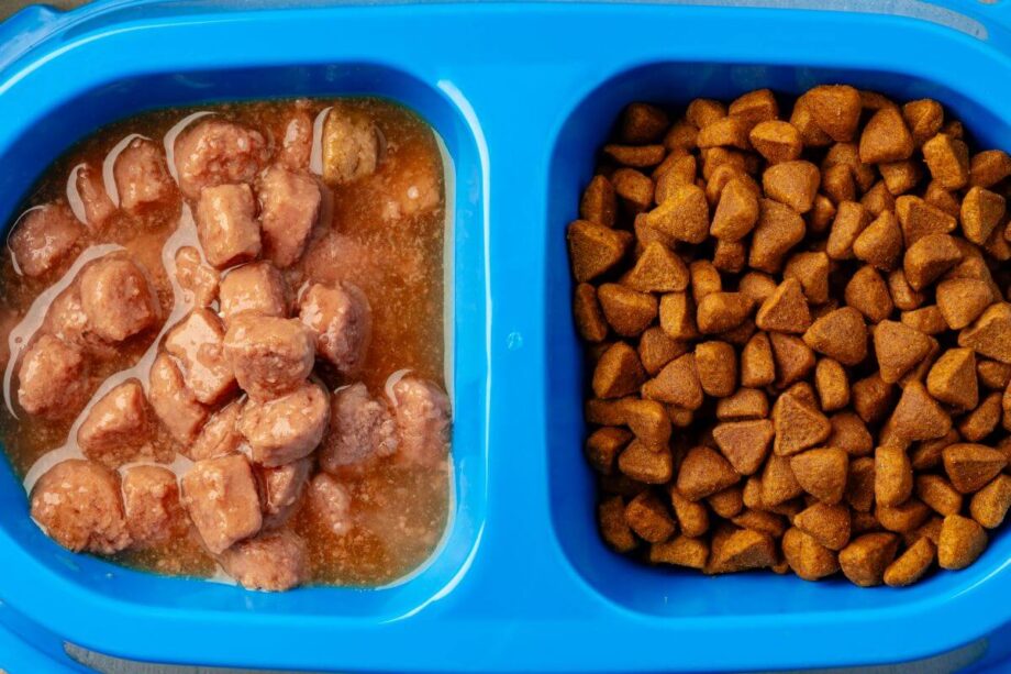 Podwójna miska z suchą karmą i kawałkami, gdzie lewej stronie jest karma mokra dla psa.