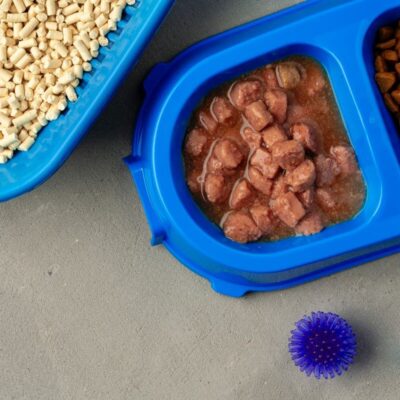 Miski z karmą, mokra karma dla psów oraz zabawka i obroża.