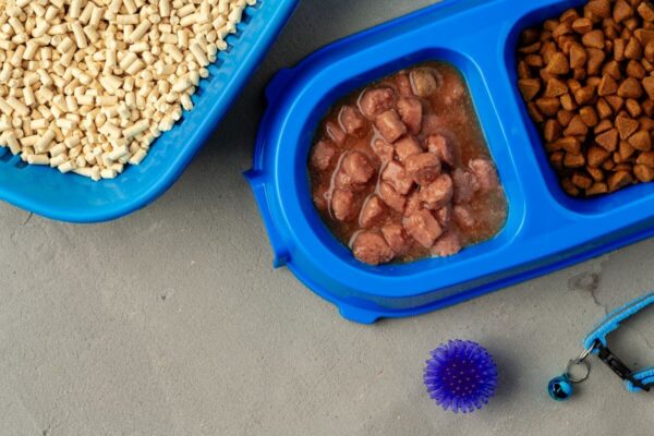Miski z karmą, mokra karma dla psów oraz zabawka i obroża.