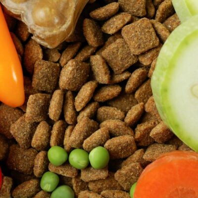 Sucha karma dla zwierząt otoczona warzywami, idealna na karmy weterynaryjne.