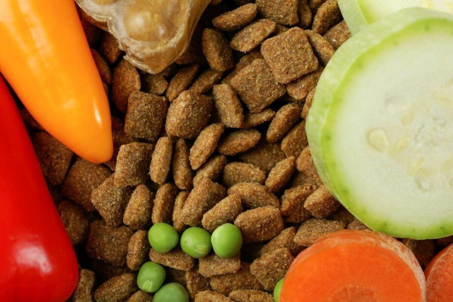 Sucha karma dla zwierząt otoczona warzywami, idealna na karmy weterynaryjne.