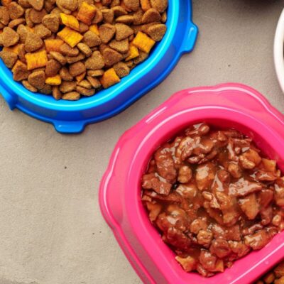 Różowa miska zawiera mokrą karmę dla psów obok suchych granulek.