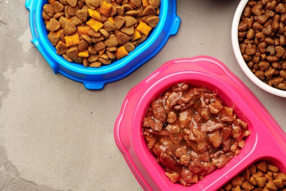 Różowa miska zawiera mokrą karmę dla psów obok suchych granulek.