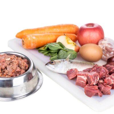 Na obrazku widoczna jest karma weterynaryjna obok różnych składników spożywczych.