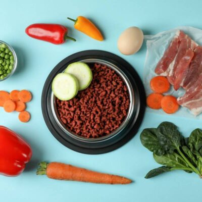 Miska pełna suchej karmy weterynaryjnej otoczona jest warzywami i mięsem.