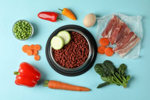 Miska pełna suchej karmy weterynaryjnej otoczona jest warzywami i mięsem.