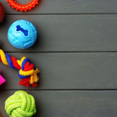 Kolorowe zabawki dla psa leżą na drewnianej podłodze.