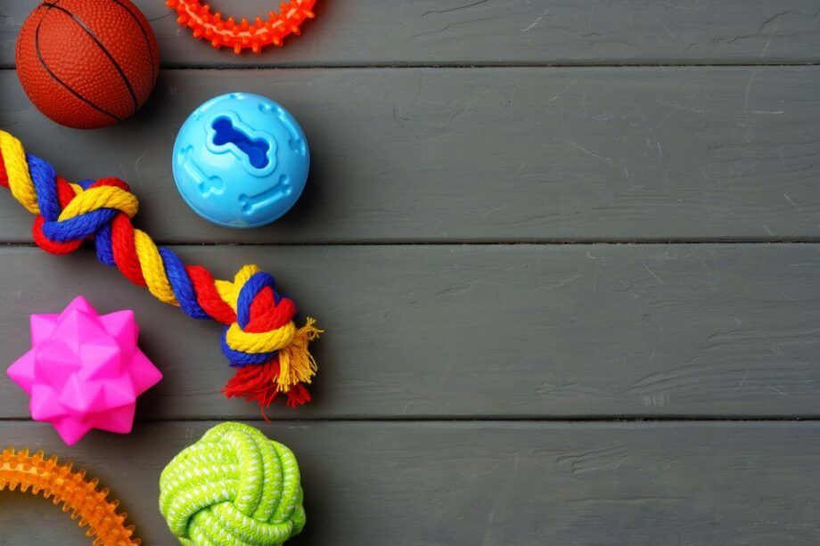 Kolorowe zabawki dla psa leżą na drewnianej podłodze.