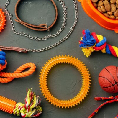 Zabawki dla psa i smakołyki na czarnym tle.