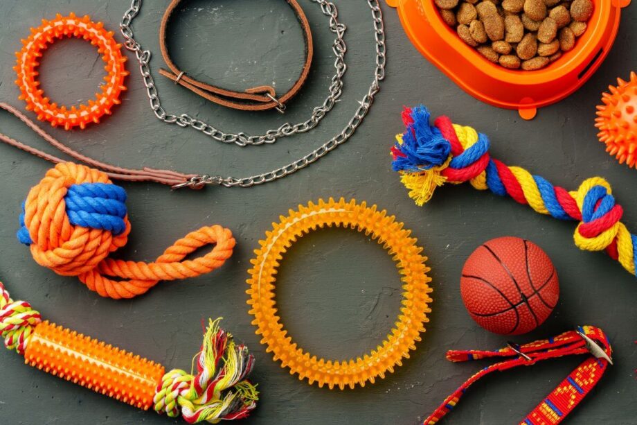 Zabawki dla psa i smakołyki na czarnym tle.