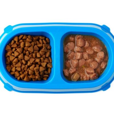 W niebieskiej misce znajdują się sucha karma i karma mokra dla psa.