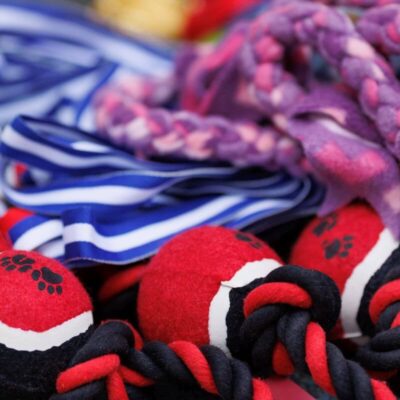 Kolorowe zabawki dla psa, w tym piłki i sznurki.