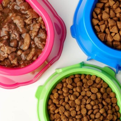 Trzy miski dla psa, w tym różowa zawierająca karmę mokrą dla psa.
