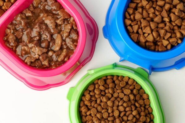 Trzy miski dla psa, w tym różowa zawierająca karmę mokrą dla psa.