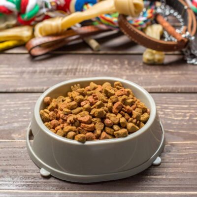 Miska pełna suchych granulek to karma weterynaryjna dla psa stojąca na drewnianym stole.