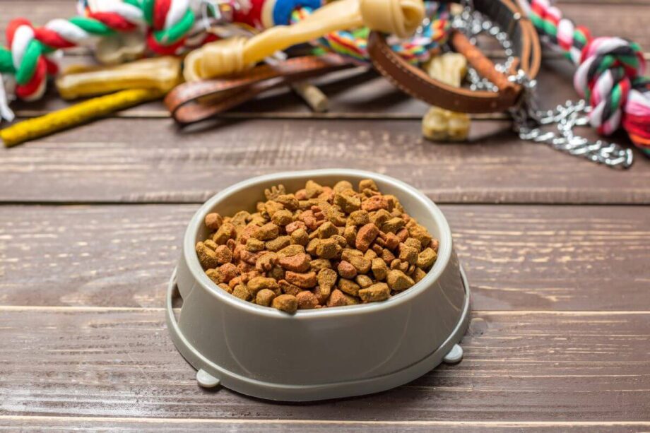 Miska pełna suchych granulek to karma weterynaryjna dla psa stojąca na drewnianym stole.