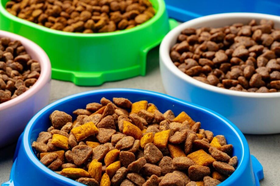 Kolorowe miski wypełnione suchą karmą weterynaryjną dla psa.
