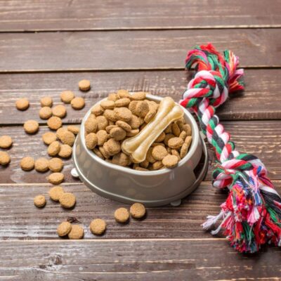 Miska zawiera karma weterynaryjna dla psa obok kolorowej zabawki.