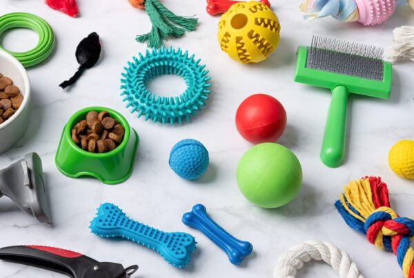 Różnorodne artykuły zoologiczne dla psów, w tym zabawki, smakołyki i akcesoria pielęgnacyjne.