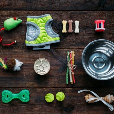 Artykuły zoologiczne dla psów, w tym miska, smakołyki i zabawki, na drewnianym tle.