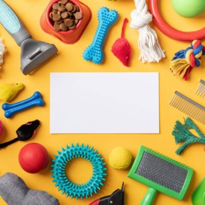 Na żółtym tle rozłożone są różnorodne artykuły zoologiczne dla psów, takie jak zabawki i akcesoria pielęgnacyjne.