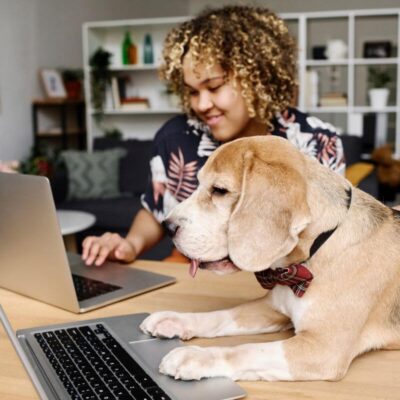 Kobieta i pies przeglądają ofertę sklepu zoologicznego na laptopie.