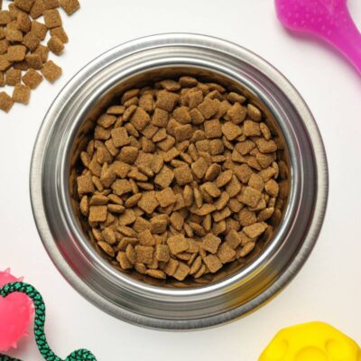Stalowa miska pełna suchej karmy dla psa otoczona zabawkami.