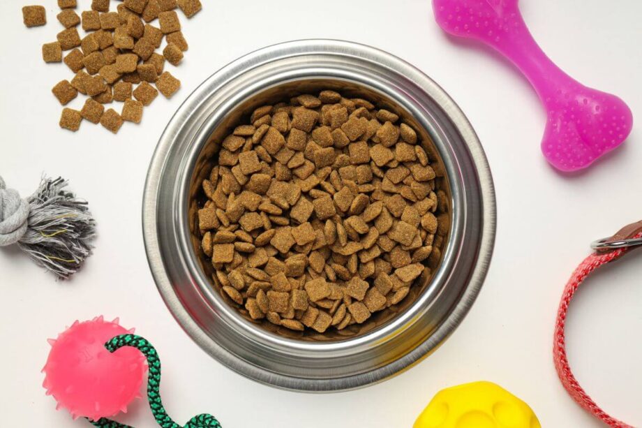 Stalowa miska pełna suchej karmy dla psa otoczona zabawkami.
