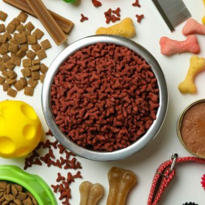 Miseczka pełna suchej karmy dla psa otoczona jest zabawkami i smakołykami.