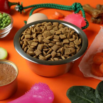 Miska wypełniona suchą karmą dla psa otoczona różnymi składnikami jedzenia.