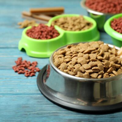 Metalowa miska i zielone pojemniki wypełnione suchą karmą dla psa.