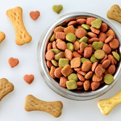 Miska wypełniona jest kolorową karmą suchą dla psa, otoczoną kilkoma psimi ciasteczkami.
