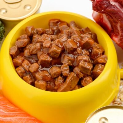 Żółta miska wypełniona jedzeniem, które wygląda jak karma mokra dla psa, otoczona świeżymi składnikami, takimi jak brokuły, łosoś i marchew.