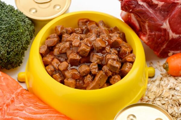 Żółta miska wypełniona jedzeniem, które wygląda jak karma mokra dla psa, otoczona świeżymi składnikami, takimi jak brokuły, łosoś i marchew.