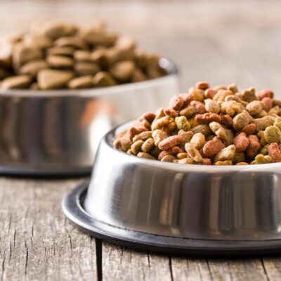 Dwie miski z karmą dla psa, z przodu karma mokra dla psa.