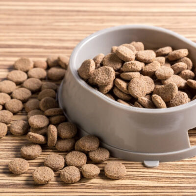 Miska wypełniona jest po brzegi granulowaną karmą suchą dla psa.