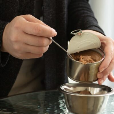 Osoba nakłada mokrą karmę dla psa do miski.