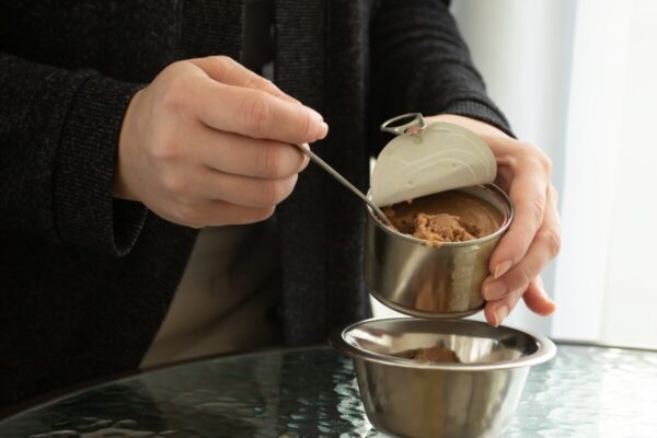 Osoba nakłada mokrą karmę dla psa do miski.