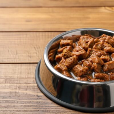 Metalowa miska z karmą mokrą dla psa na drewnianym stole.