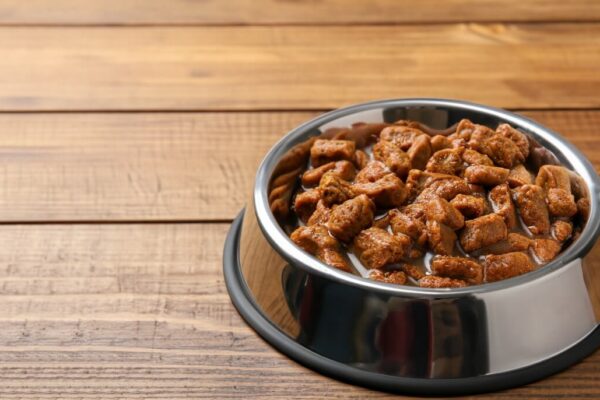 Metalowa miska z karmą mokrą dla psa na drewnianym stole.